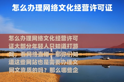 怎么办理网络文化经营许可证