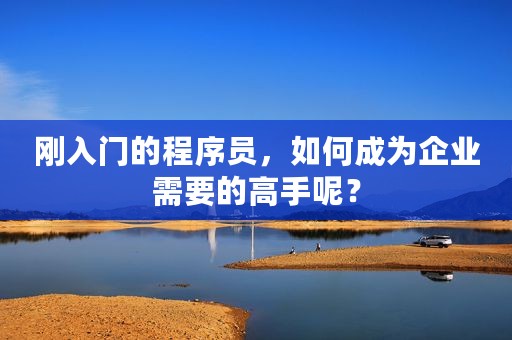 刚入门的程序员，如何成为企业需要的高手呢？