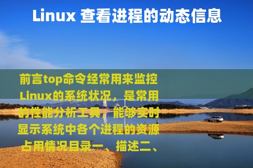 Linux 查看进程的动态信息