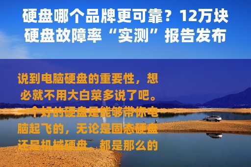 硬盘哪个品牌更可靠？12万块硬盘故障率“实测”报告发布，速看