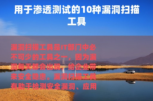 用于渗透测试的10种漏洞扫描工具