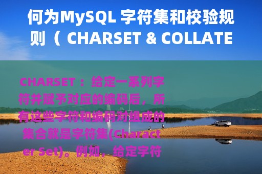 何为MySQL 字符集和校验规则（ CHARSET & COLLATE)？