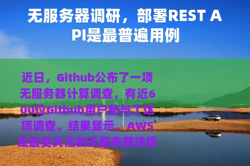 无服务器调研，部署REST API是最普遍用例