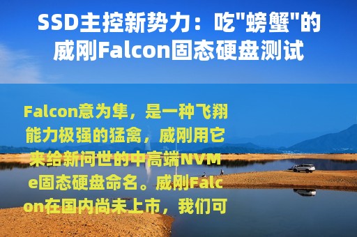 SSD主控新势力：吃