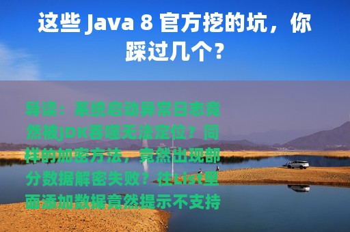 这些 Java 8 官方挖的坑，你踩过几个？