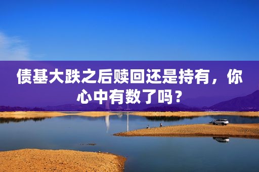 债基大跌之后赎回还是持有，你心中有数了吗？