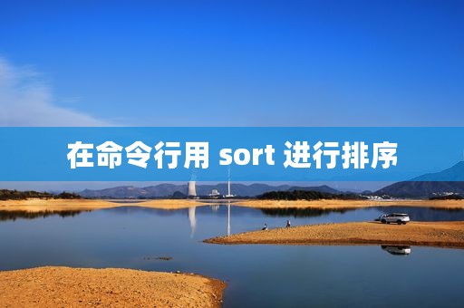 在命令行用 sort 进行排序