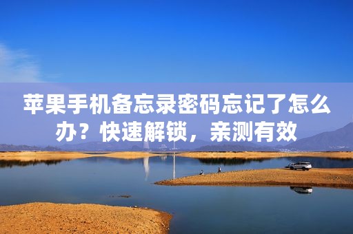 苹果手机备忘录密码忘记了怎么办？快速解锁，亲测有效