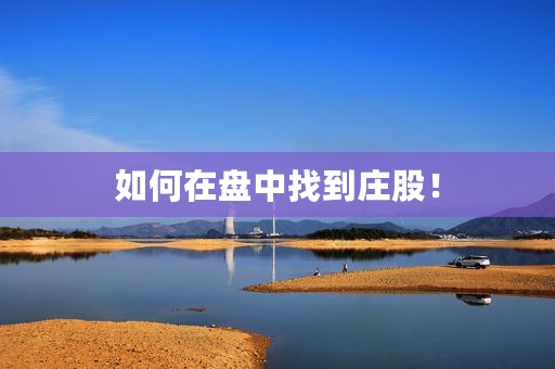 如何在盘中找到庄股！