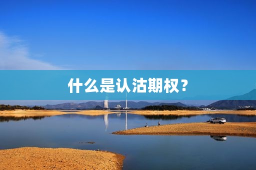 什么是认沽期权？