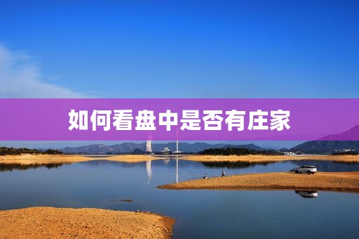 如何看盘中是否有庄家