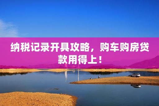 纳税记录开具攻略，购车购房贷款用得上！
