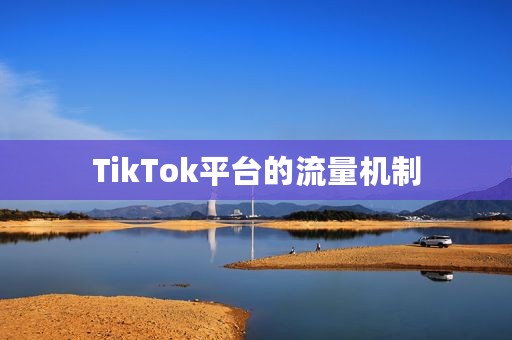 TikTok平台的流量机制