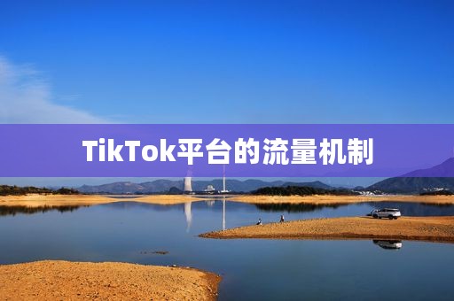TikTok平台的流量机制