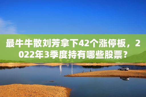 最牛牛散刘芳拿下42个涨停板，2022年3季度持有哪些股票？