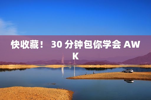 快收藏！ 30 分钟包你学会 AWK