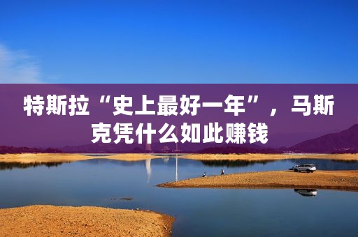 特斯拉“史上最好一年”，马斯克凭什么如此赚钱