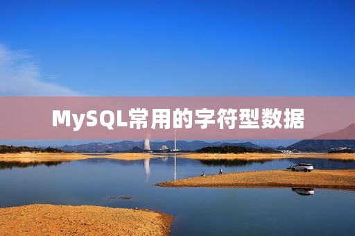 MySQL常用的字符型数据