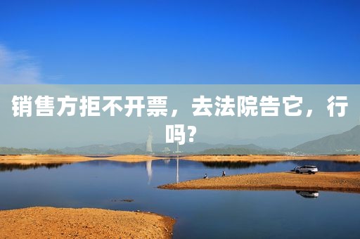 销售方拒不开票，去法院告它，行吗?