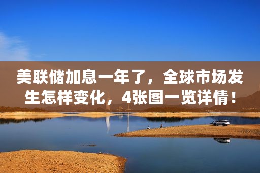 美联储加息一年了，全球市场发生怎样变化，4张图一览详情！