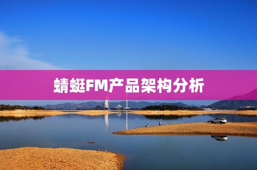 蜻蜓FM产品架构分析