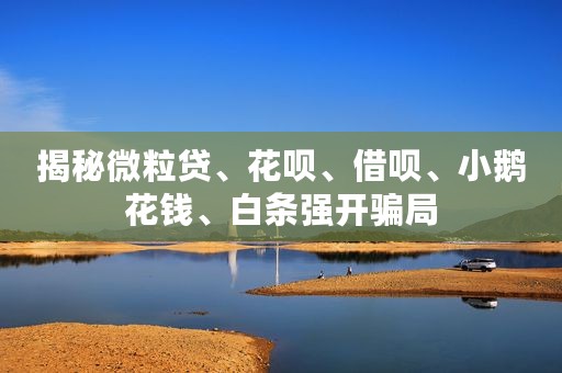 揭秘微粒贷、花呗、借呗、小鹅花钱、白条强开骗局