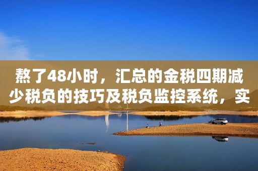 熬了48小时，汇总的金税四期减少税负的技巧及税负监控系统，实用