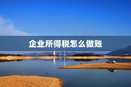 企业所得税怎么做账