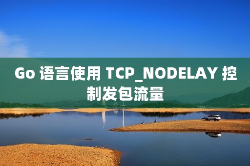 Go 语言使用 TCP_NODELAY 控制发包流量