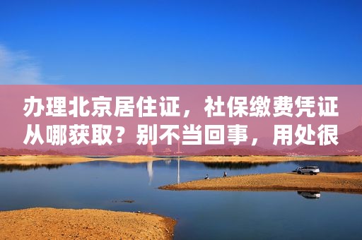 办理北京居住证，社保缴费凭证从哪获取？别不当回事，用处很大