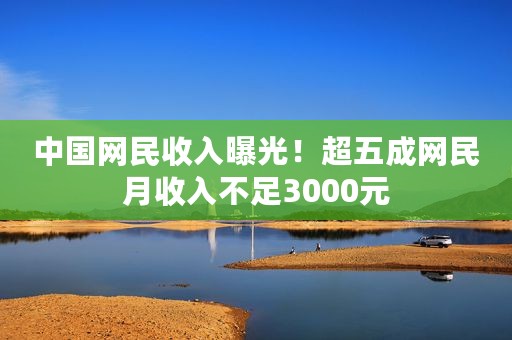 中国网民收入曝光！超五成网民月收入不足3000元