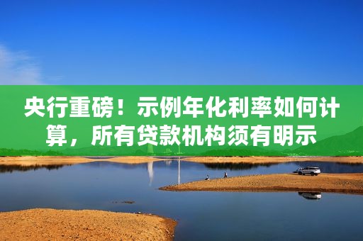 央行重磅！示例年化利率如何计算，所有贷款机构须有明示