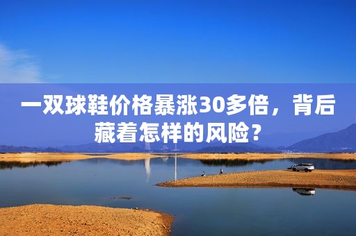 一双球鞋价格暴涨30多倍，背后藏着怎样的风险？