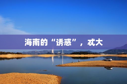 海南的“诱惑”，忒大