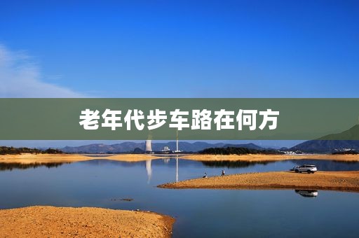 老年代步车路在何方