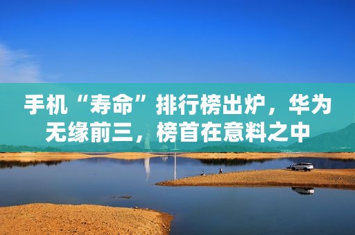 手机“寿命”排行榜出炉，华为无缘前三，榜首在意料之中