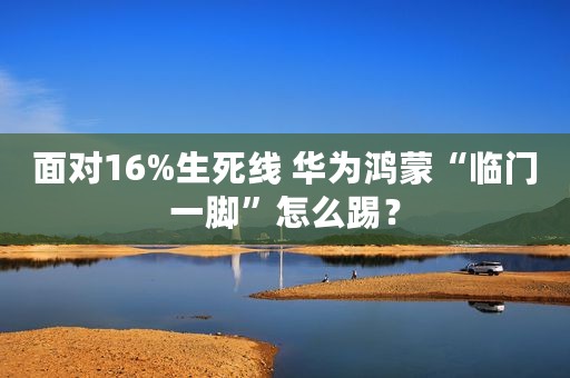 面对16%生死线 华为鸿蒙“临门一脚”怎么踢？