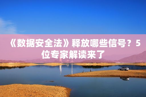 《数据安全法》释放哪些信号？5位专家解读来了