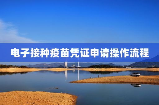 电子接种疫苗凭证申请操作流程