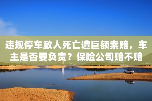 违规停车致人死亡遭巨额索赔，车主是否要负责？保险公司赔不赔？