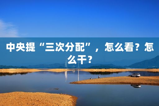 中央提“三次分配”，怎么看？怎么干？