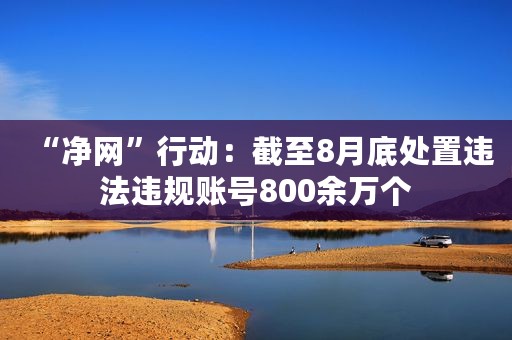 “净网”行动：截至8月底处置违法违规账号800余万个
