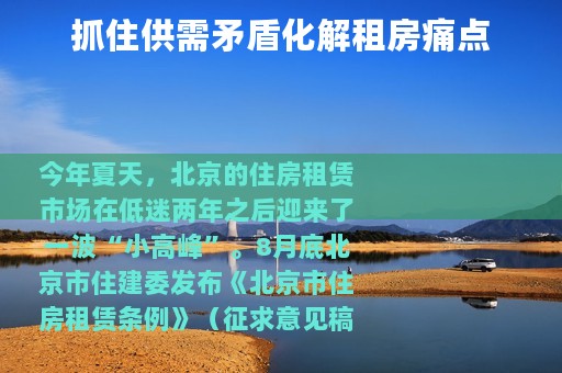 抓住供需矛盾化解租房痛点