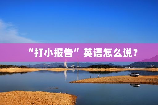 “打小报告”英语怎么说？