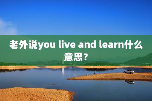 老外说you live and learn什么意思？