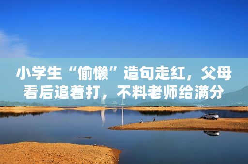 小学生“偷懒”造句走红，父母看后追着打，不料老师给满分