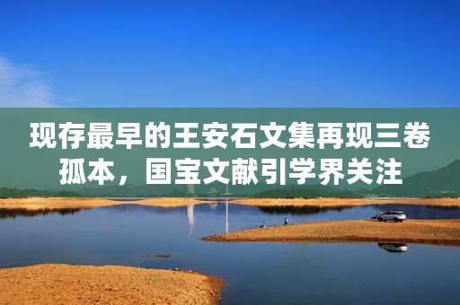 现存最早的王安石文集再现三卷孤本，国宝文献引学界关注