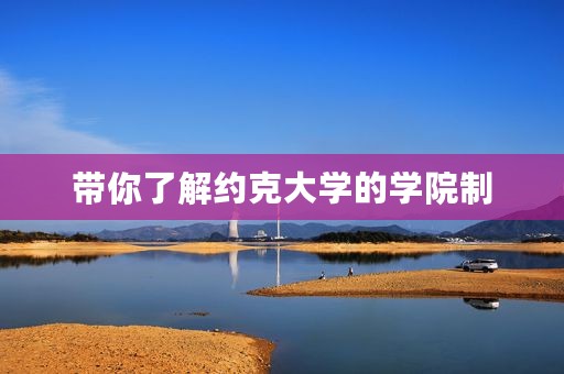 带你了解约克大学的学院制