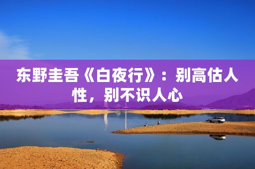 东野圭吾《白夜行》：别高估人性，别不识人心