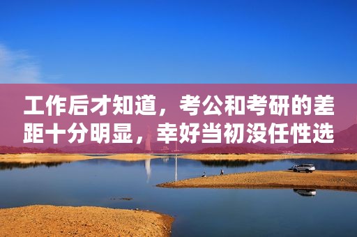工作后才知道，考公和考研的差距十分明显，幸好当初没任性选错